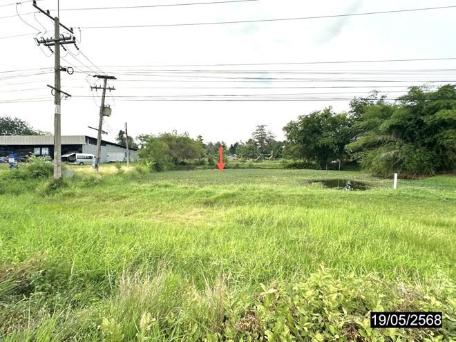 picture LAND for sale  Si Kaeo Muang Roi Et Roi Et - 4/14