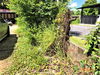 listing thumbnail image 25