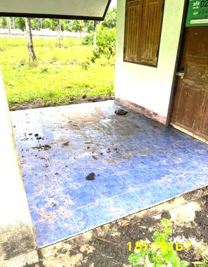 รูป บ้านเดี่ยว สำหรับขาย - บางเป้า กันตัง ตรัง - รูปที่ 13/24