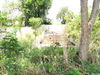listing thumbnail image 18