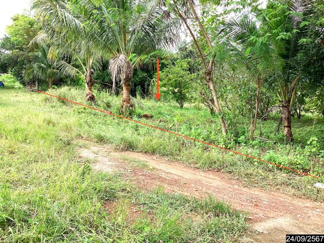 picture LAND for sale  Kham Khok Sung Wang Sam Mo Udon Thani - 5/18