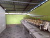 listing thumbnail image 26
