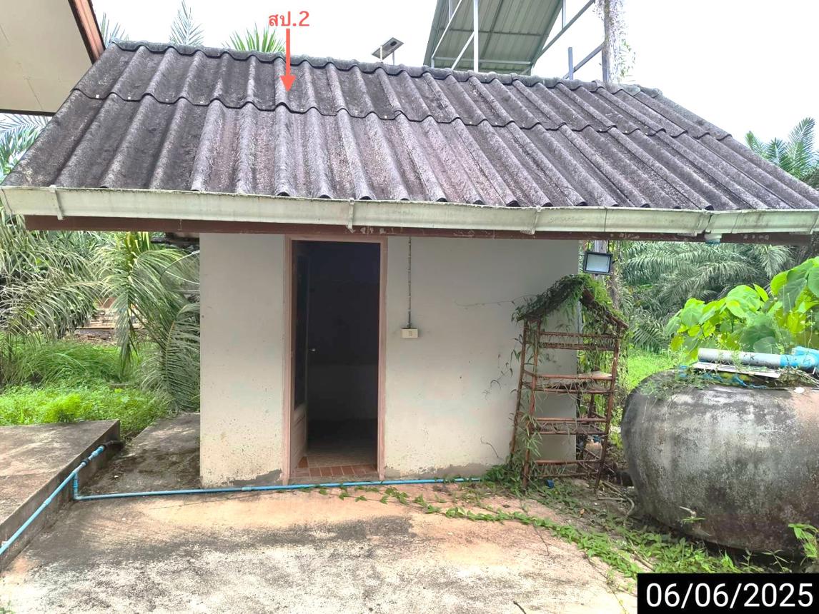 รูป บ้านเดี่ยว สำหรับขาย - วัดประดู่ เมืองสุราษฎร์ธานี สุราษฎร์ธานี - รูปที่ 32/40