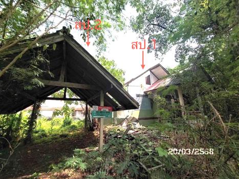 รูป บ้านเดี่ยว สำหรับขาย - มะขามเตี้ย เมืองสุราษฎร์ธานี สุราษฎร์ธานี - รูปที่ 31/34