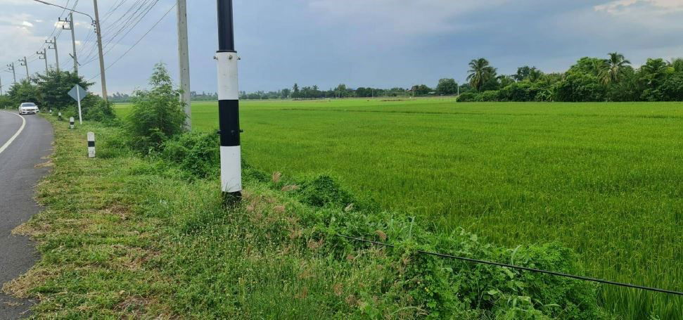 picture LAND for sale  Pho Phraya Muang Suphanburi Suphanburi - 10/14