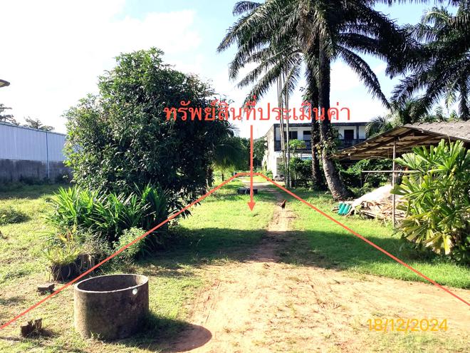 รูป บ้านเดี่ยว สำหรับขาย - เขาวิเศษ วังวิเศษ ตรัง - รูปที่ 11/30