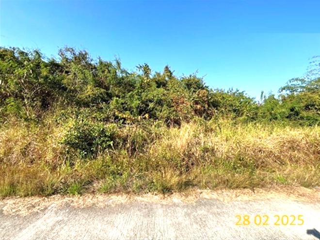 picture LAND for sale  Pong Sang Thong Muang Lampang Lamphang - 5/18