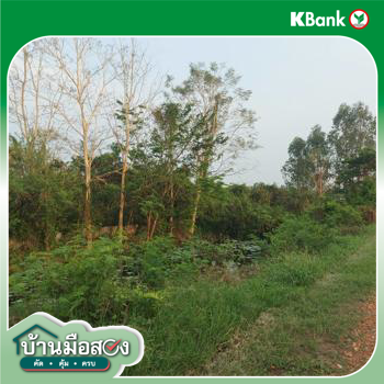 รูป ที่ดินว่างเปล่า สำหรับขาย - ศิลา เมืองขอนแก่น ขอนแก่น - รูปที่ 4/6