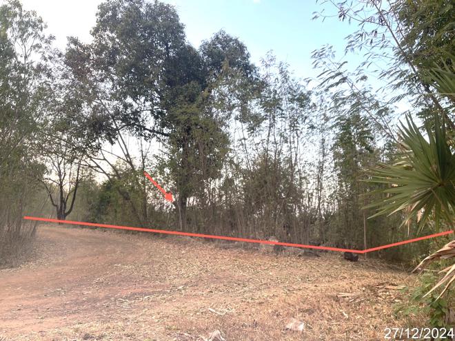 picture LAND for sale  Muang Hong Chaturaphak Phiman Roi Et - 2/18