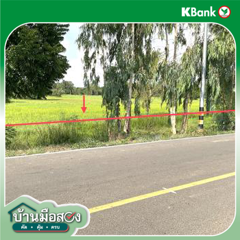 picture LAND for sale  Lup Muang Kalasin Kalasin - 20/22