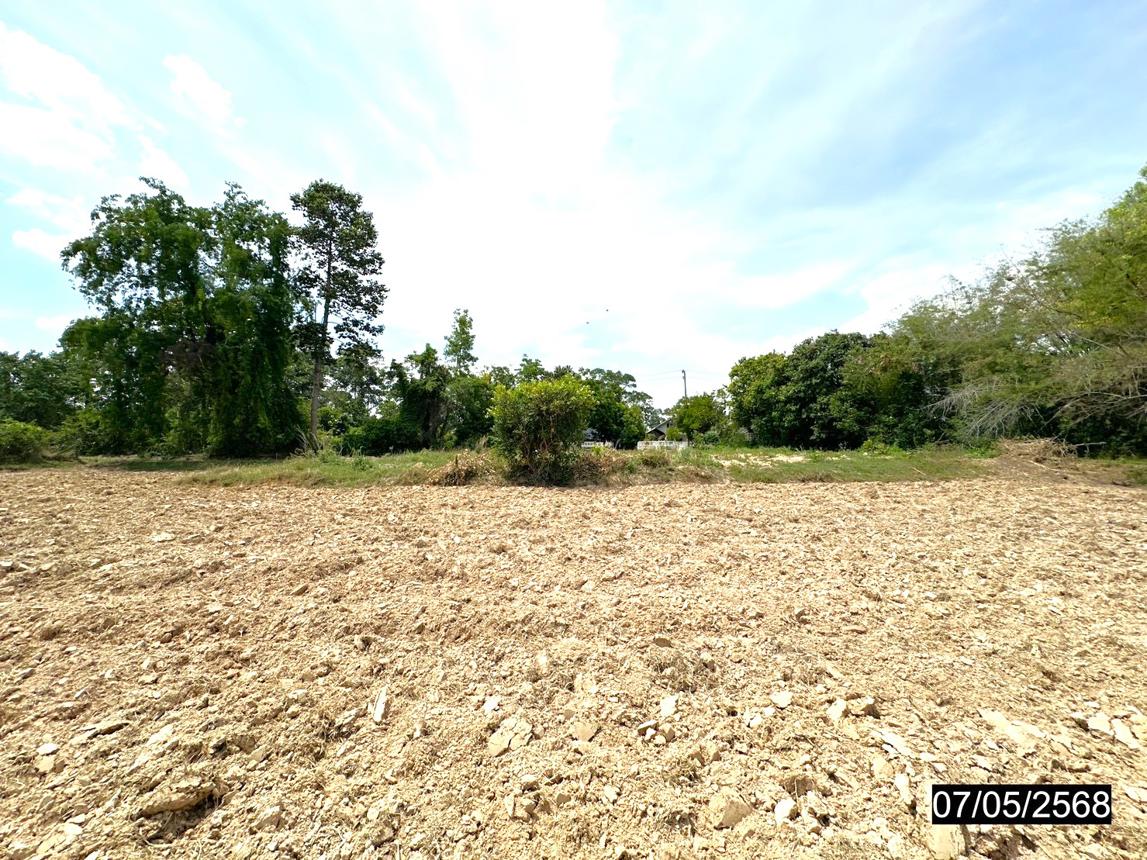 picture LAND for sale  Rop Muang Muang Roi Et Roi Et - 12/20