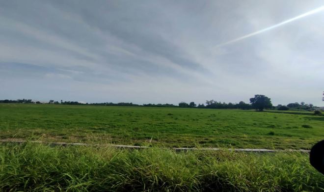 รูป ที่ดินว่างเปล่า สำหรับขาย  ตลิ่งชัน เมืองสุพรรณบุรี สุพรรณบุรี - รูปที่ 5/14