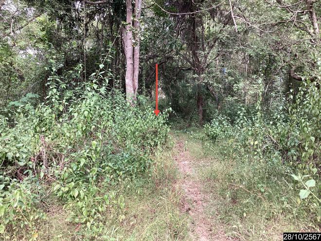 picture LAND for sale  Song Hong Muang Nong Khai Nongkai - 6/28