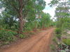 listing thumbnail image 11