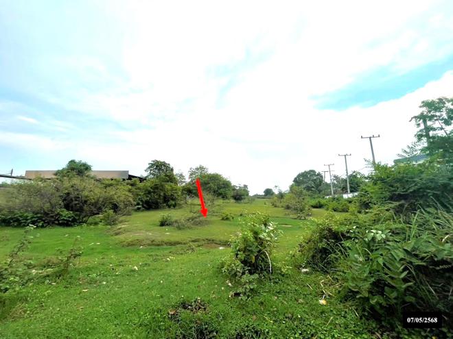 รูป ที่ดินว่างเปล่า สำหรับขาย - ดงมะไฟ เมืองสกลนคร สกลนคร - รูปที่ 4/14