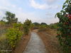 listing thumbnail image 25