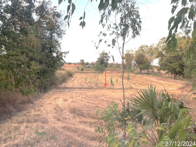 picture LAND for sale  Muang Hong Chaturaphak Phiman Roi Et - 6/18