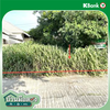 listing thumbnail image 15