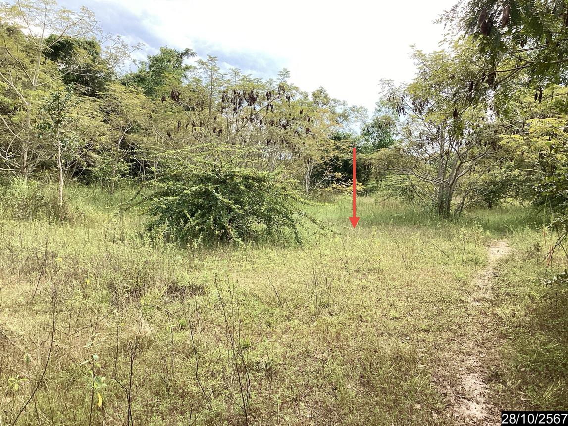 picture LAND for sale  Song Hong Muang Nong Khai Nongkai - 20/28
