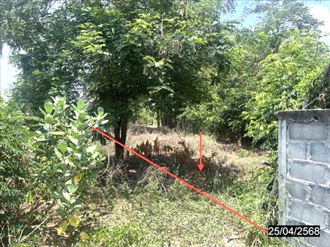 picture LAND for sale  At Samat At Samat Roi Et - 6/12