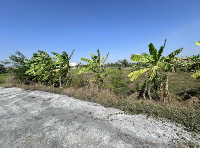 รูป ที่ดินว่างเปล่า สำหรับขาย  หนองโอ่ง อู่ทอง สุพรรณบุรี - รูปที่ 2/12