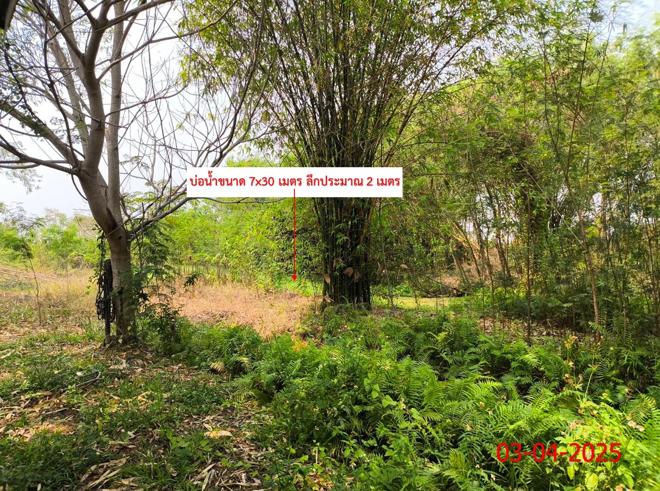 รูป บ้านเดี่ยว สำหรับขาย - อุโมงค์ เมืองลำพูน ลำพูน - รูปที่ 21/48