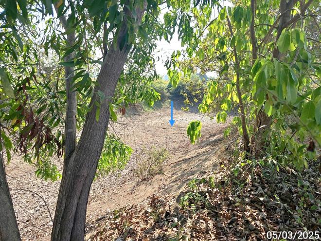 picture LAND for sale  Mae Raka Wang Thong Phitsanulok - 5/14