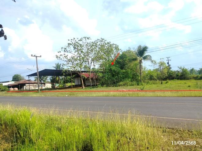รูป บ้านเดี่ยว สำหรับขาย - ขมิ้น เมืองสกลนคร สกลนคร - รูปที่ 19/42