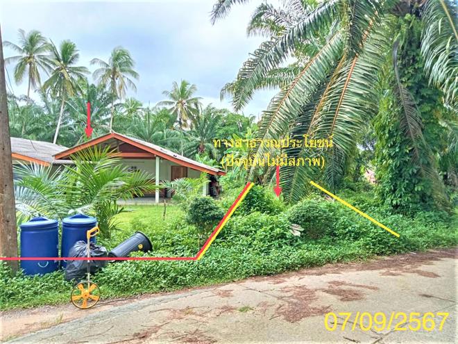 รูป บ้านเดี่ยว สำหรับขาย - คลองท่อมใต้ คลองท่อม กระบี่ - รูปที่ 13/32
