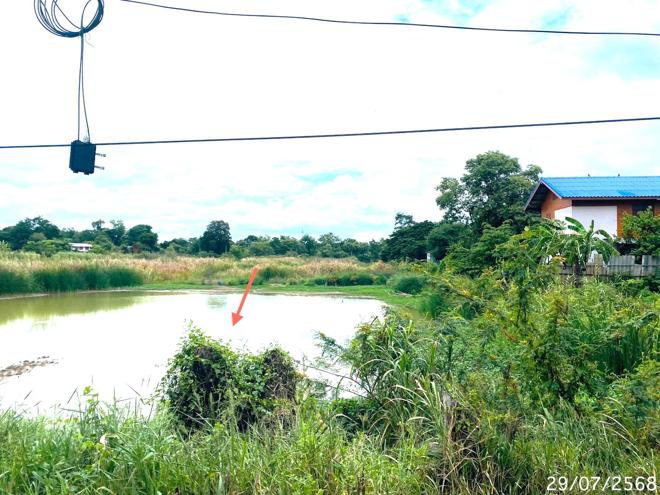 picture LAND for sale  Khlong Sra Bua Phra Nakhon Sri Ayutthaya Phra Nakhon Sri Ayutthaya - 4/26
