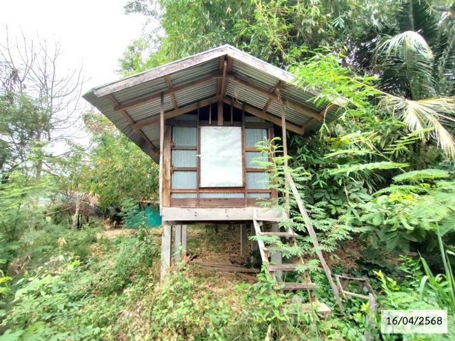 รูป บ้านเดี่ยว สำหรับขาย - ปทุมวาปี ส่องดาว สกลนคร - รูปที่ 18/44