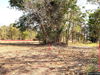listing thumbnail image 13