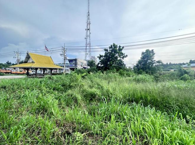 picture LAND for sale  Sa Kaeo Muang Sa Kaeo Srakaeo - 2/10