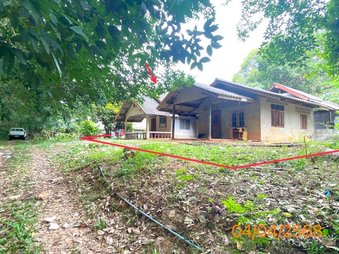 รูป บ้านเดี่ยว สำหรับขาย - คลองพน คลองท่อม กระบี่ - รูปที่ 2/32