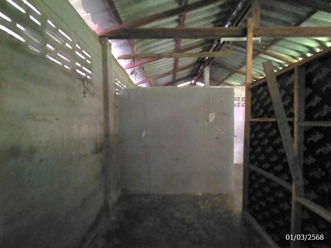 รูป บ้านเดี่ยว สำหรับขาย - ลำทับ ลำทับ กระบี่ - รูปที่ 26/32