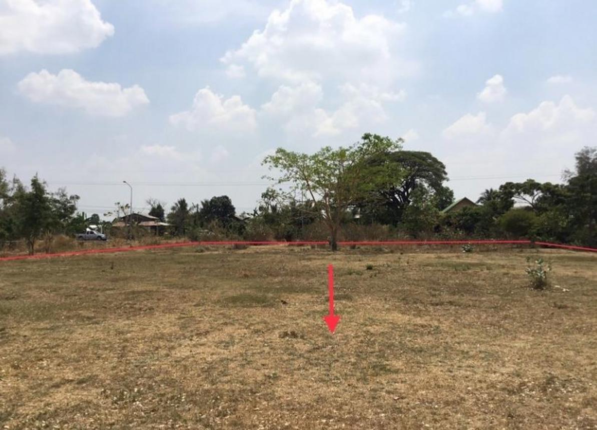 picture LAND for sale  Nong Tat Muang Buri Ram Buri Ram - 8/14