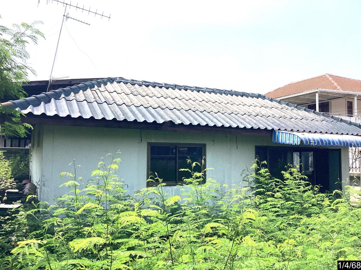 picture HOME for sale  Shum Het Muang Buri Ram Buri Ram - 12/24