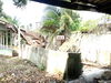 listing thumbnail image 21