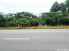 listing thumbnail image 14