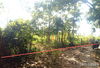 listing thumbnail image 9