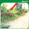 listing thumbnail image 39
