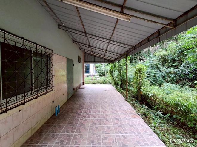 รูป บ้านเดี่ยว สำหรับขาย - วังมะปรางเหนือ วังวิเศษ ตรัง - รูปที่ 11/30