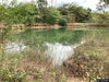 listing thumbnail image 22