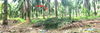 listing thumbnail image 10