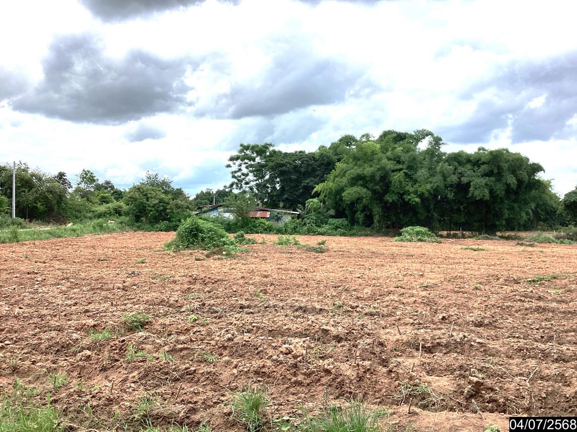 รูป ที่ดินว่างเปล่า สำหรับขาย - นาดี เมืองอุดรธานี อุดรธานี - รูปที่ 22/26