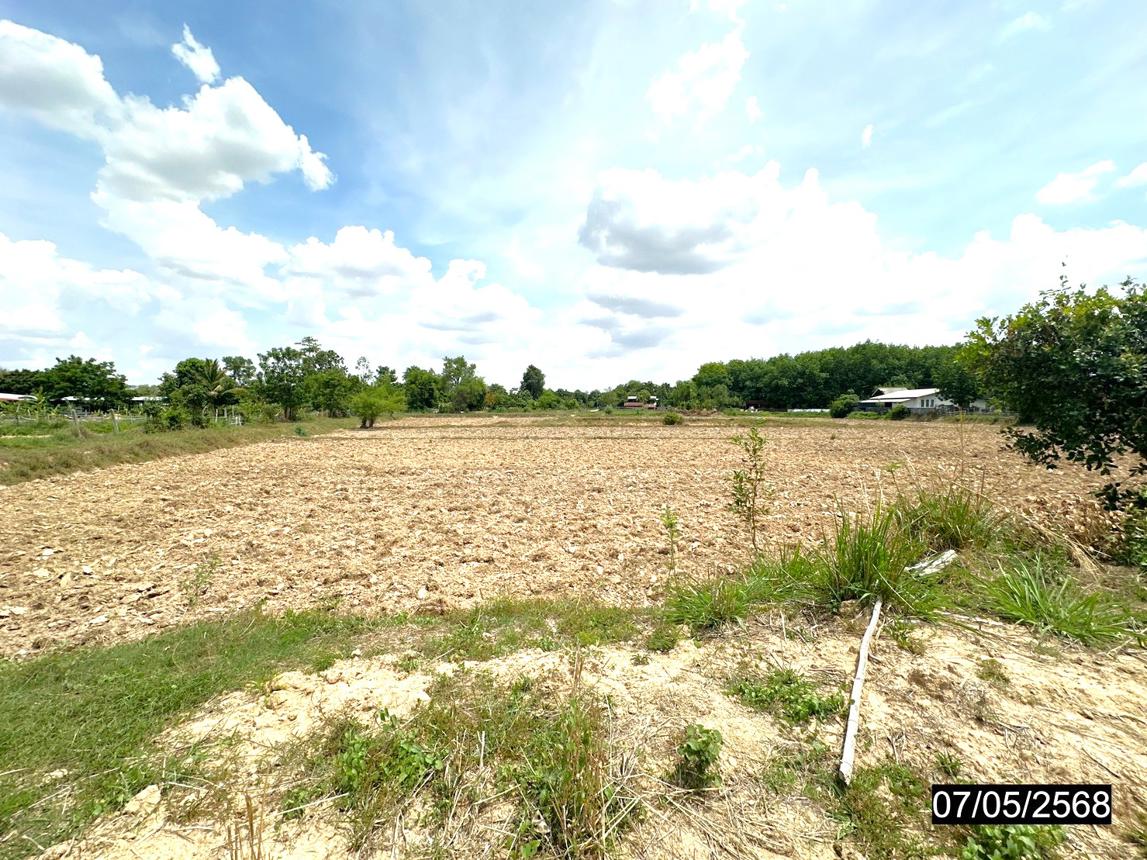 picture LAND for sale  Rop Muang Muang Roi Et Roi Et - 13/20