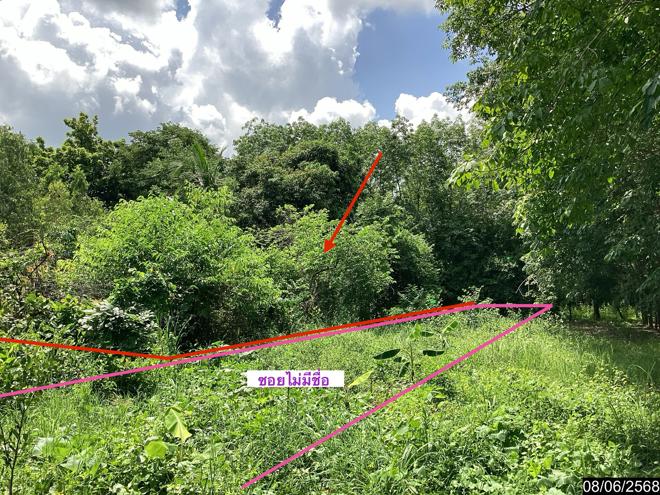 picture LAND for sale  Song Dao Song Dao Sakon Nakhon - 3/24
