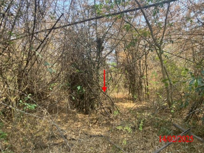 picture LAND for sale  Phichai Muang Lampang Lamphang - 6/24