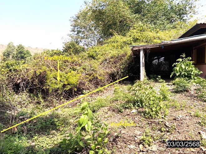 รูป บ้านเดี่ยว สำหรับขาย เขาปรัง ดงประคำ พรหมพิราม พิษณุโลก - รูปที่ 9/24