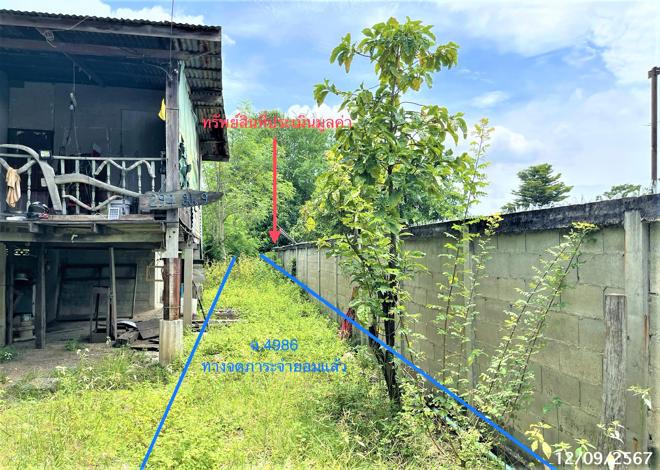 picture LAND for sale  Lamnarai Chai Badan Lopburi - 3/14
